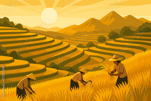 Harvesting rice in golden fields at sunset with mountains in the background