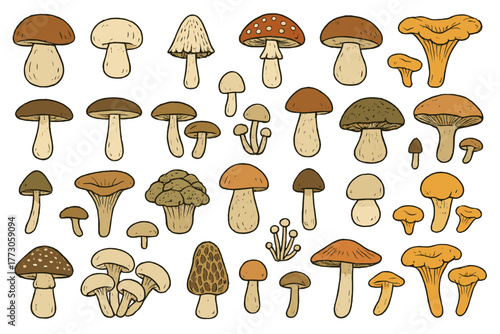 Hand-drawn mushroom icon set featuring edible and wild fungi varieties