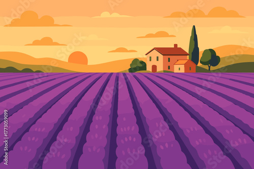 Sunset over lavender field with farmhouse in countryside landscape