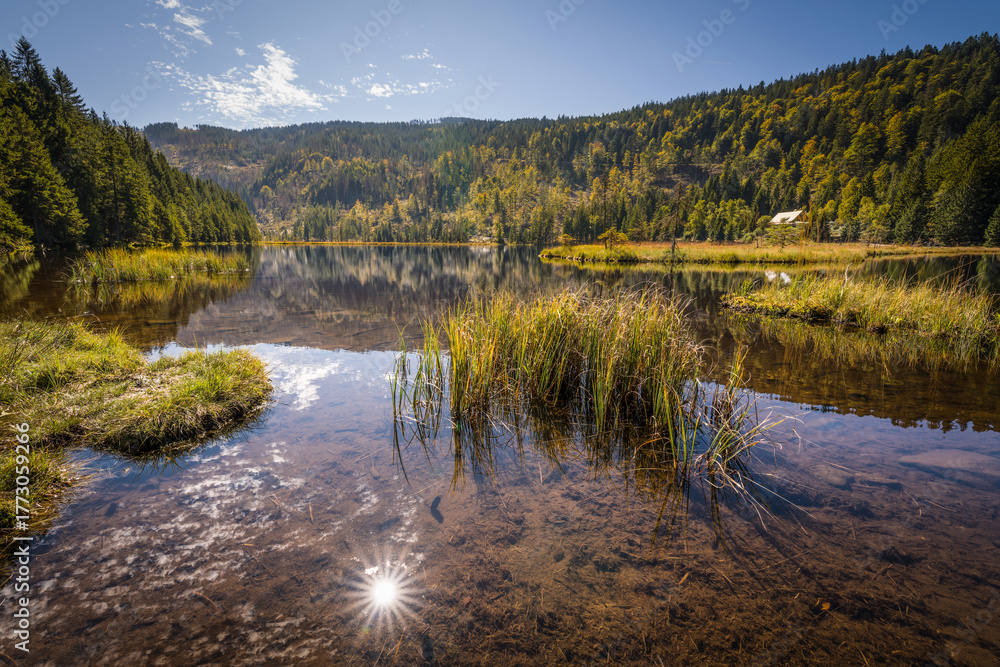 Fototapeta premium Rundweg Wanderweg um den See Kleiner Arber See im Herbst, Bayern, Deutschland