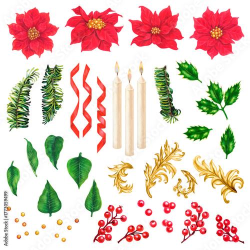 Red poinsettia. Luxurious Christmas flowers with vintage gold decor. Rich red, green watercolor add warmth, freshness. Flowers, berries, holly leaves, fir branches, and green foliage are perfect for