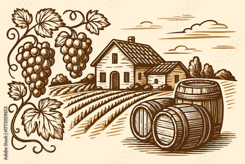 Vineyard scene with grapes, barrels, and a country house in a serene rural landscape
