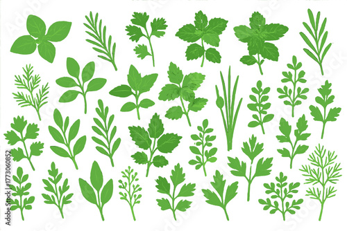 Hand-drawn culinary herbs icon set with basil, rosemary, parsley, and more
