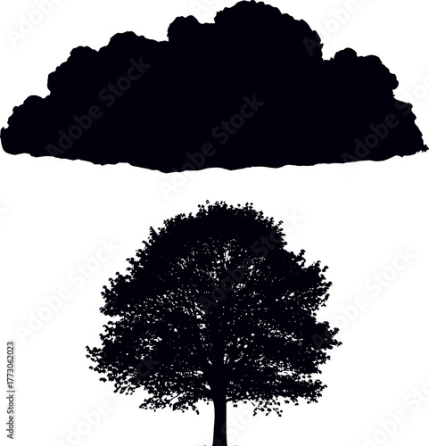 Silhouette of a Tree Under a Storm Cloud Nature's Dramatic Contrast