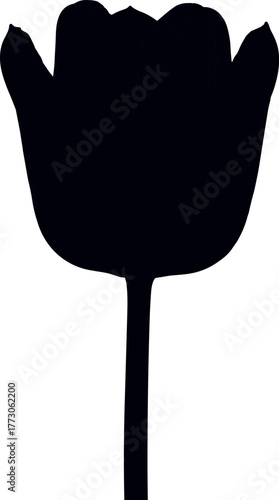 Elegant botanical silhouette of a tulip bloom and stem, isolated vector illustration for nature-themed designs
