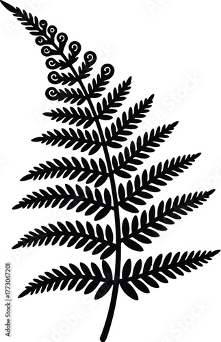 Fern silhouette vector of detailed frond