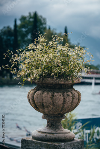 white flowers in a antique vase