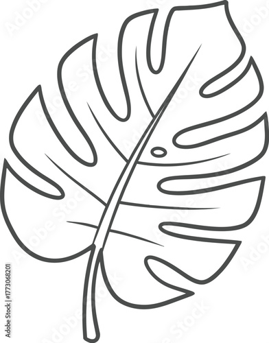 Monstera silhouette vector of large leaf