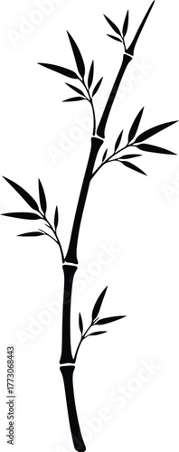 Bamboo silhouette vector of slender stalk