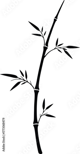 Bamboo silhouette vector of slender stalk
