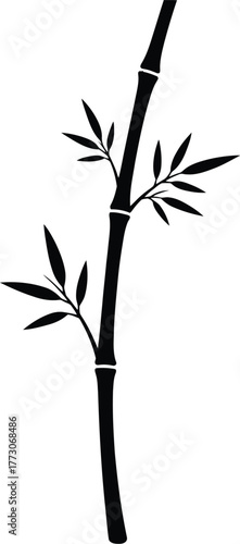 Bamboo silhouette vector of slender stalk