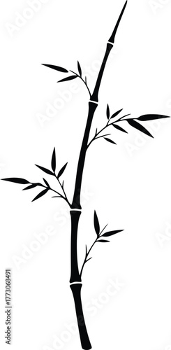 Bamboo silhouette vector of slender stalk