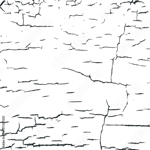 Cracked Paint Texture Background – High Resolution Vector