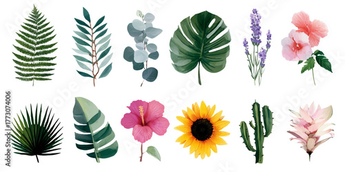 Collection of watercolor botanical illustrations featuring tropical leaves flowers and cacti