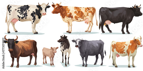 Collection of diverse cattle breeds standing in a row on a white background