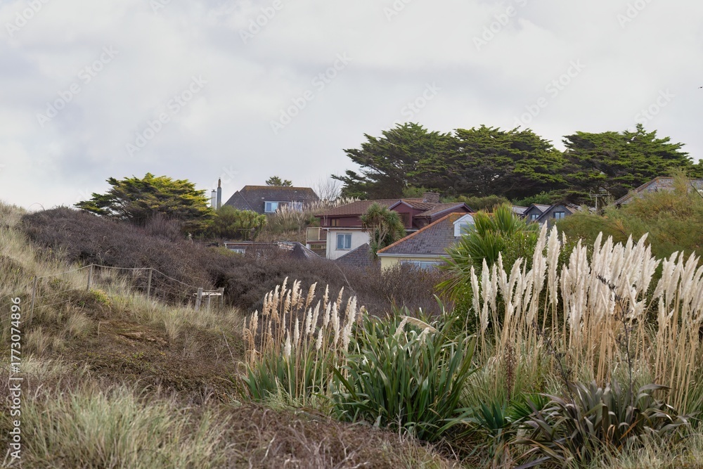 Fototapeta premium Homes amidst lush vegetation, providing a scenic coastal view in Holywell Bay - Cornwall - UK