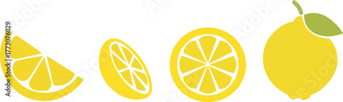 Lemon Icon Set — Citrus Fruit Vector Illustration