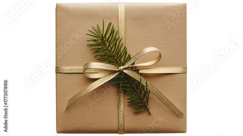 Festive brown paper wrapped gift box tied with a golden ribbon and decorated with a fresh green fir branch isolated on transparent background