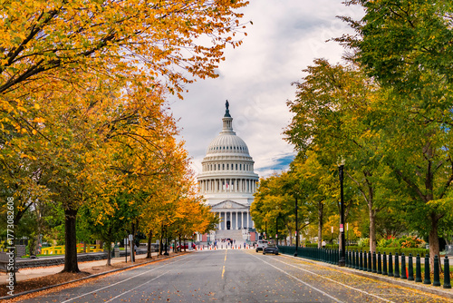United States Capitol building framed by autumn trees in Washington DC