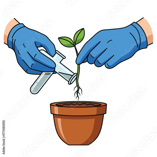 Hands in gloves planting a seedling from a test tube into a pot vector illustration for botany or science education isolated on white background