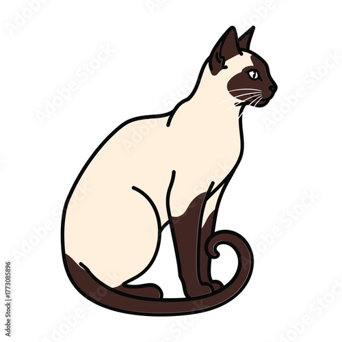 Elegant Siamese cat illustration a simple vector drawing of a feline pet isolated on white background