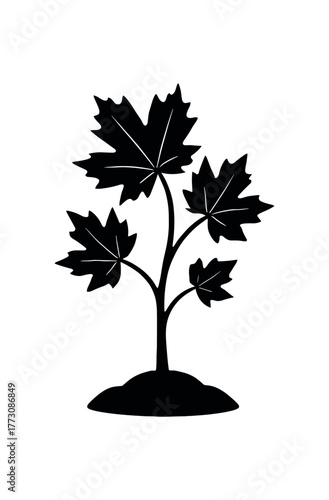 maple sapling flat black solid vector illustration isolated on white background