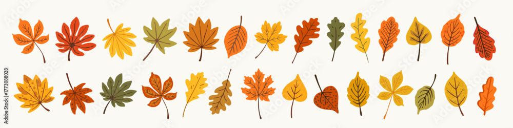 Naklejka premium Autumn leaves vector set with cute illustrated fall foliage in orange, yellow, red, and green tones. Hand-drawn cozy leaf collection for seasonal design, posters, packaging, and greeting cards