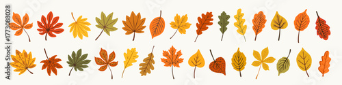 Autumn leaves vector set with cute illustrated fall foliage in orange, yellow, red, and green tones. Hand-drawn cozy leaf collection for seasonal design, posters, packaging, and greeting cards