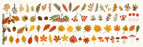 Autumn vector sticker set with cute seasonal elements, fall leaves, acorns, mushrooms, berries, and branches. Cozy handdrawn illustration in warm orange, yellow, and green tones.