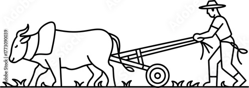 A farmer plows a field with the help of a bullock.