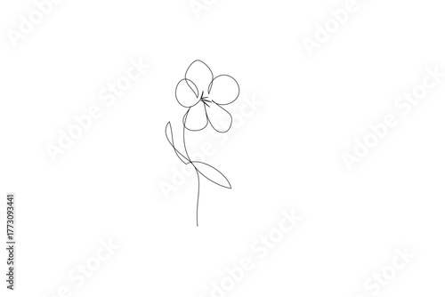 Continuous line art a vector  elegant contoured isolated field flower  in a minimalist one-line style
