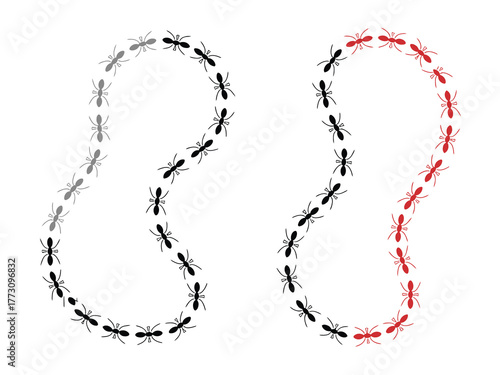 Ant Trails Vector Illustration with Black, Red, and Grey Ants