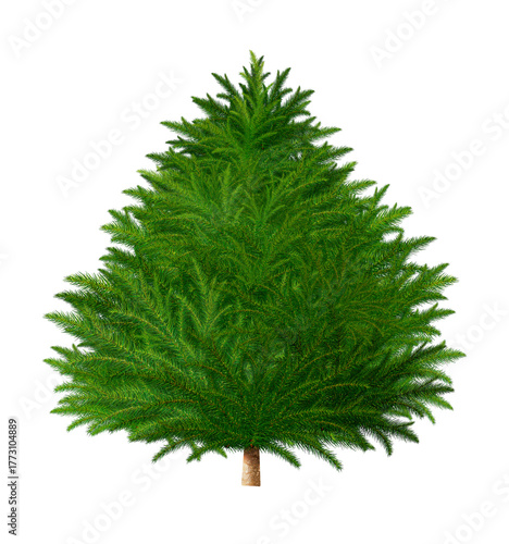 Green fir tree isolated on transparent background.