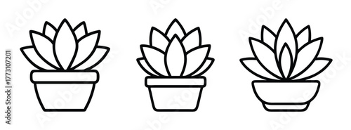 Potted succulent plants vector illustration, outline drawing of indoor plant for graphic design and art projects
