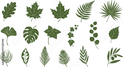 Collection of various green leaf illustrations on transparent background