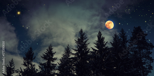 Full moon and abstract stars sky in winter forest landscape.