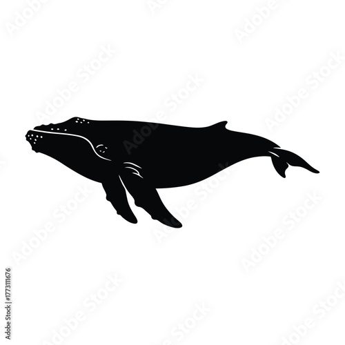 Humpback Whale Silhouette Isolated Vector