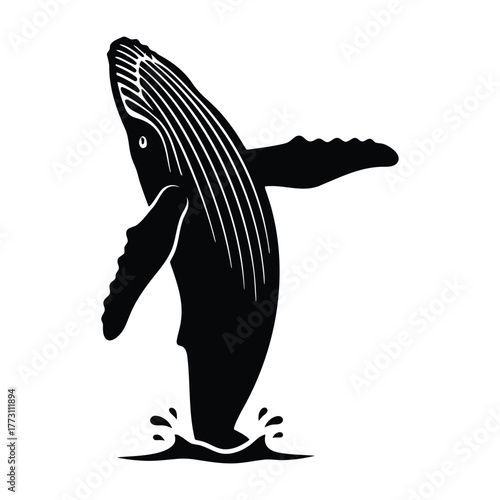 Humpback Whale Spy Hopping Silhouette