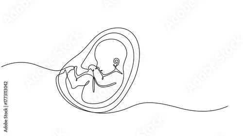 Animated self drawing of continuous line draw baby in womb fetus symbol logo, baby in womb fetus symbol logo continuous one line drawing motion, Healthy pregnancy and premature symbol in simple line.