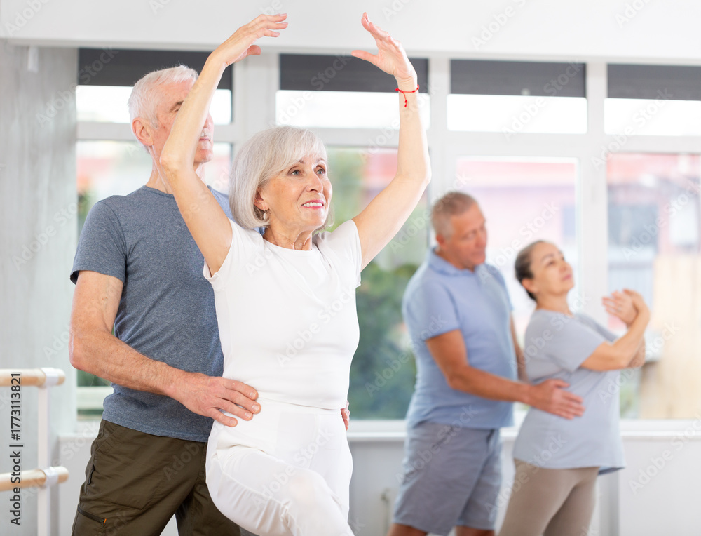 Naklejka premium Diligent mature woman practicing ballet positions in pair with man in dancehall during dancing classes