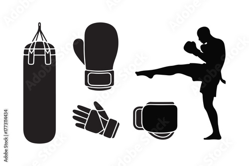 Martial arts training equipment and fighter silhouette