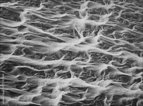 Braided River in Monochrome