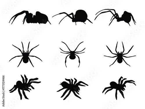 Creepy Crawly Spider Vector Pack. Halloween Decoration Icons. Scary Insect Shapes