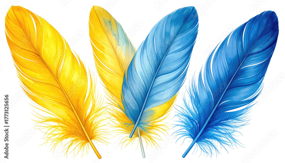 Obraz premium Three vividly colored feathers, one yellow, two blue, arranged closely together on a transparent background
