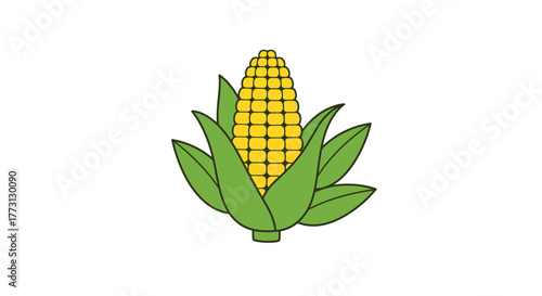 A vibrant illustration of a single ear of corn with green leaves