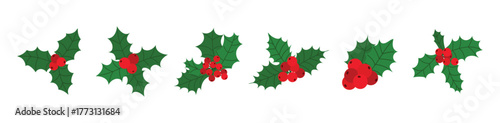 Christmas holly branches set. Green leaves and red berries festive decoration for winter holiday design. Flat vector illustration isolated on white background.