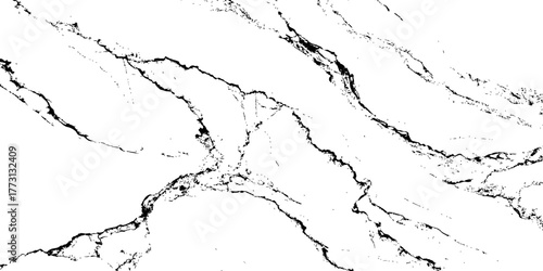 "High-quality white marble with thin black veins, clean and bright natural stone background for modern interiors, branding, or minimal artwork."