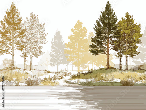 Illustrazione artistica di un paesaggio boschivo con alberi stilizzati e riflessi sull'acqua.