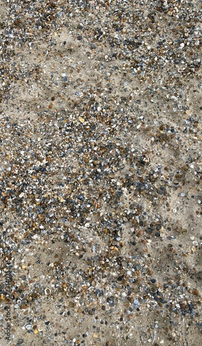 Wallpaper Mural Shells at the Beach Torontodigital.ca