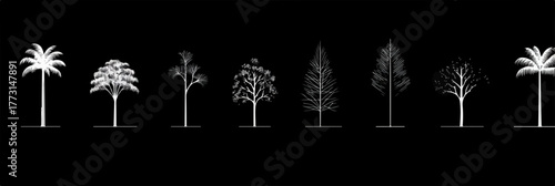 Uma coleção de silhuetas de árvores brancas, representando diversas espécies botânicas, isoladas em um fundo escuro.